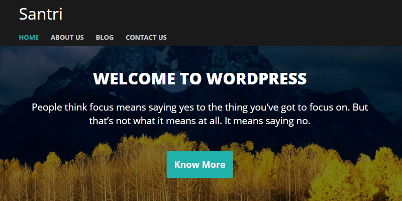 free-wordpress-blog-theme