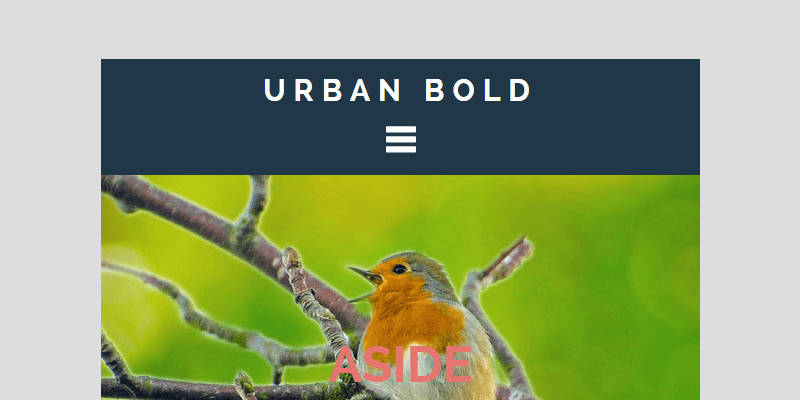 responsive-blogging-wordpress-theme-urban-bold