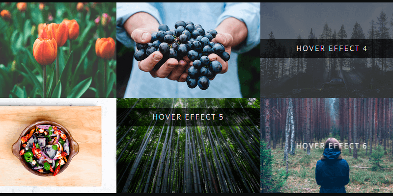bootstrap-hover-image-effects