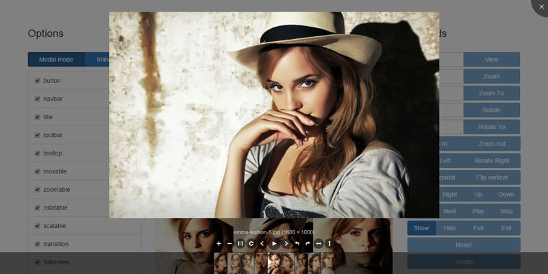 image-viewing-jquery-plugin