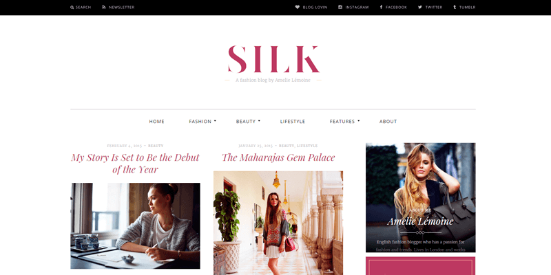 magazine-wordpress-theme-silk