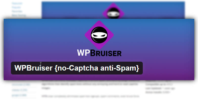 anti-spam-wordpress-plugin