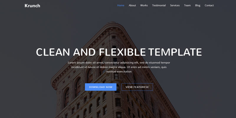 free-agency-landing-page-psd-template