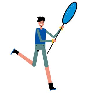 search mirror research investigation