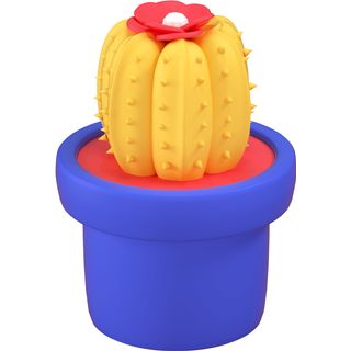 plant pot cactus