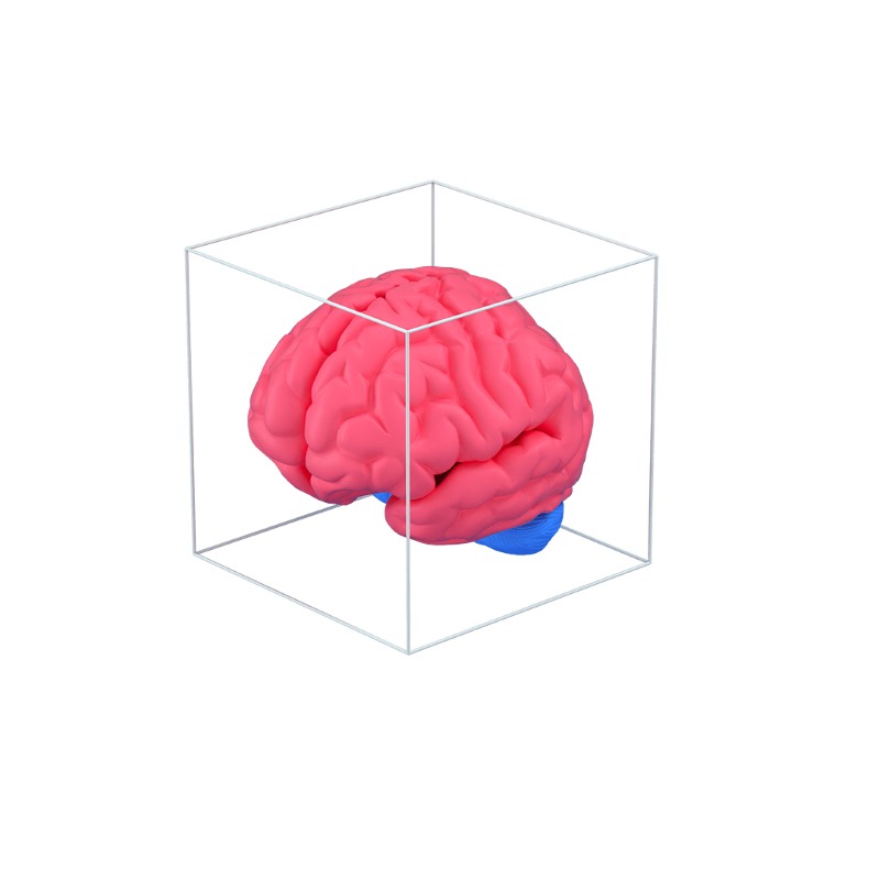 3d icon of a human brain