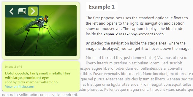 jQueryplugin38