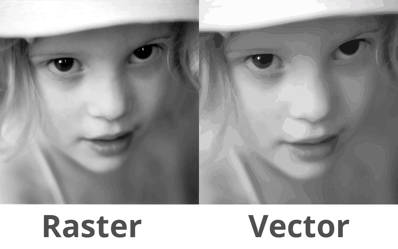 A side by side comparison of a raster image photo and a vectorized version of the same photo.
